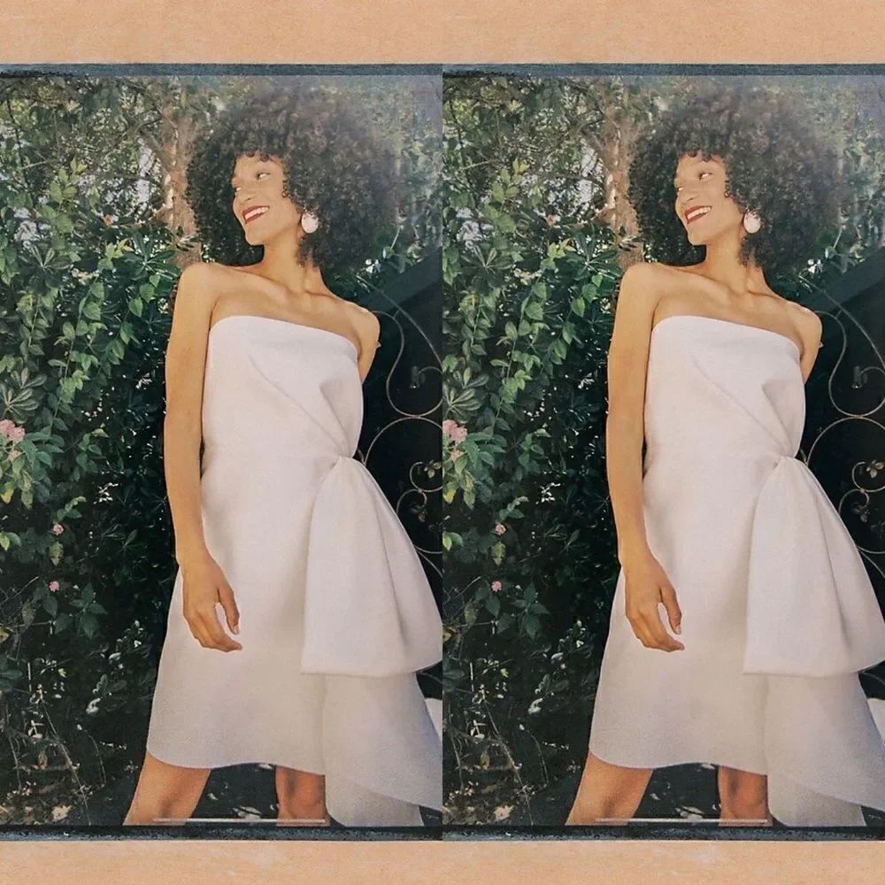 BHLDN Sachin & Babi Verdance Dress